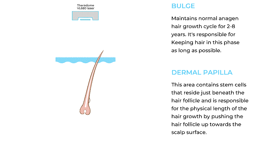 Theradome PRO LH80 – FDA-Cleared Laser Hair Growth Helmet for Powerful Hair Restoration