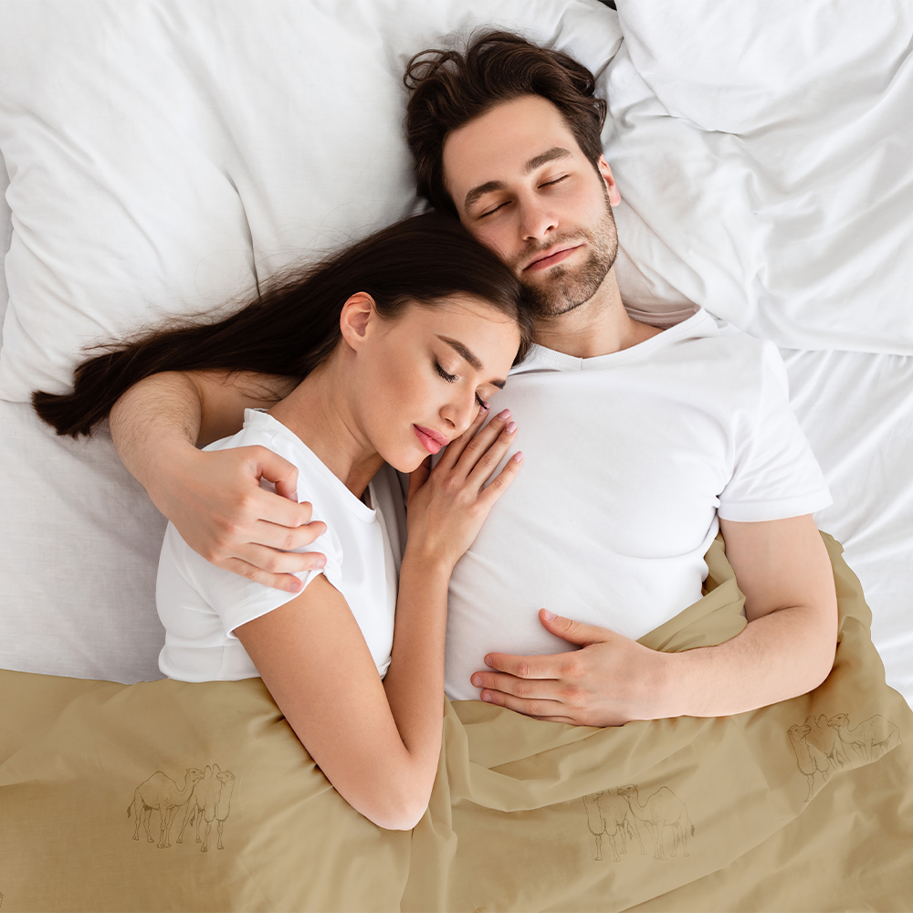 Natural Camel Hair 300 GSM Winter Comforter in 100% Down-Proof Cotton Shell