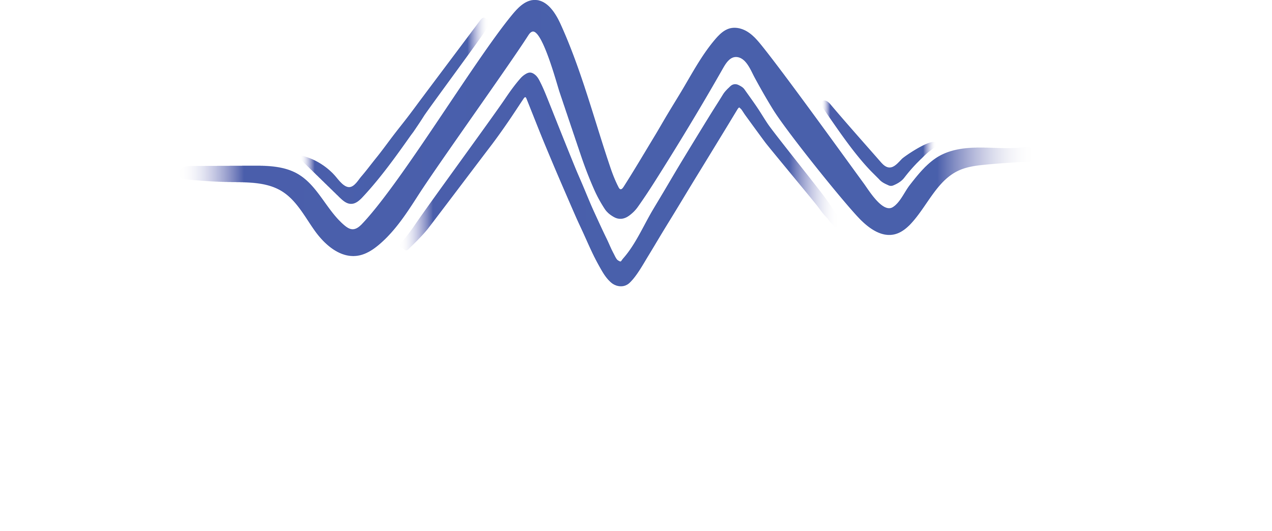 Shockwave Therapy Pro logo